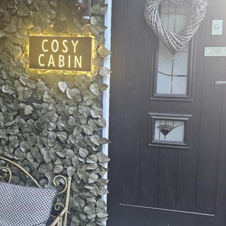 Belfast Cosy Cabin Exteriör bild